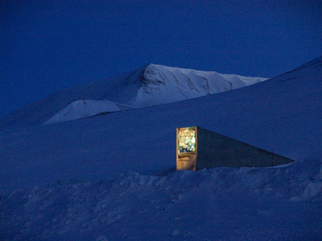 house of the future seed vault night